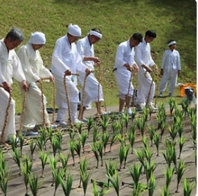담양 대나무축제