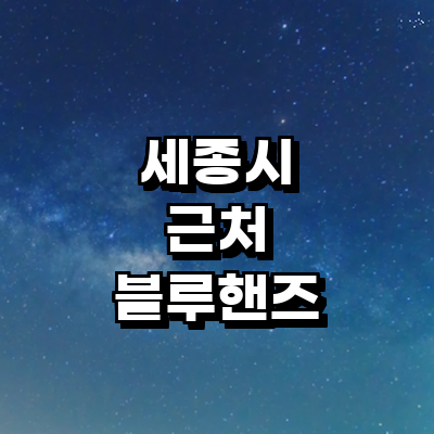 세종시 블루핸즈