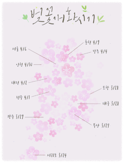전국 벚꽃 시기