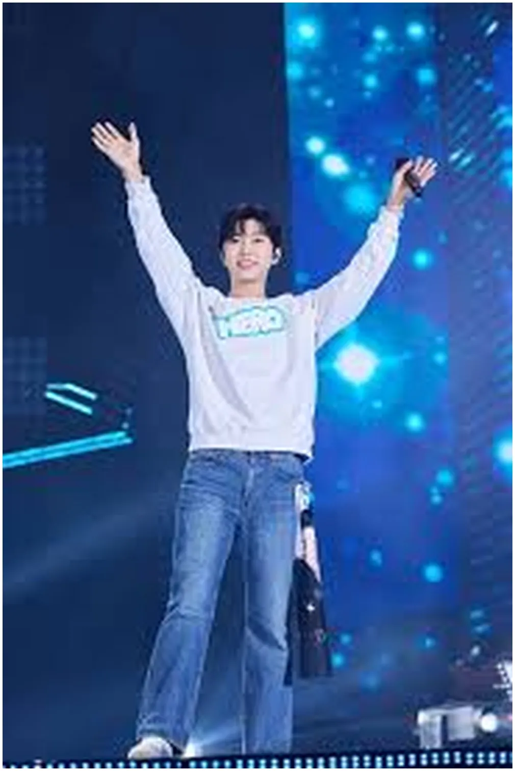 임영웅