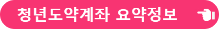 청년도약계좌 요약
