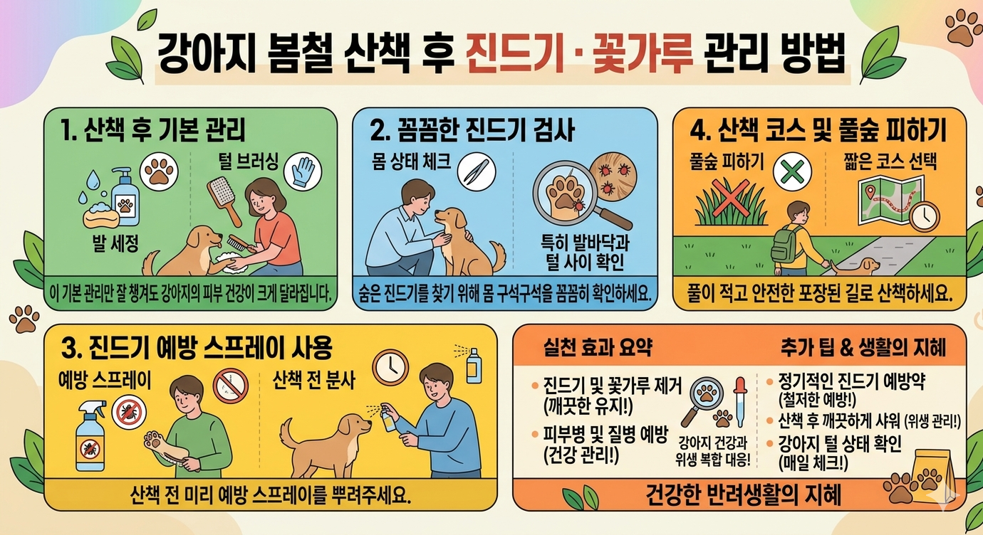 봄철 강아지 산책 주의사항 (진드기·꽃가루 완벽 대비)