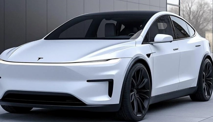 테슬라 모델y 주니퍼 가격