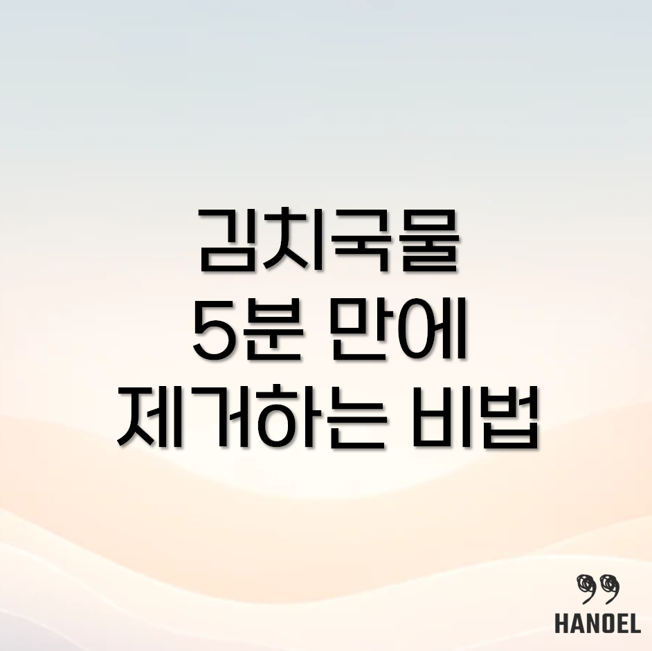 김치국물 제거
