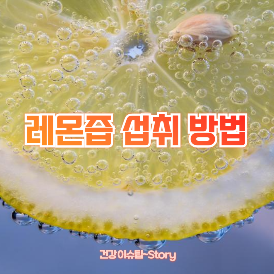 레몬즙 섭취 방법