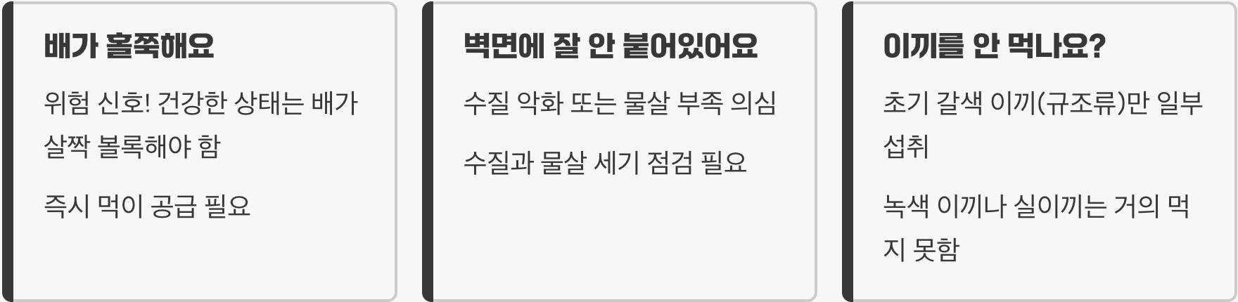 가오리비파 키우기 A to Z (어항, 먹이, 수질 관리)