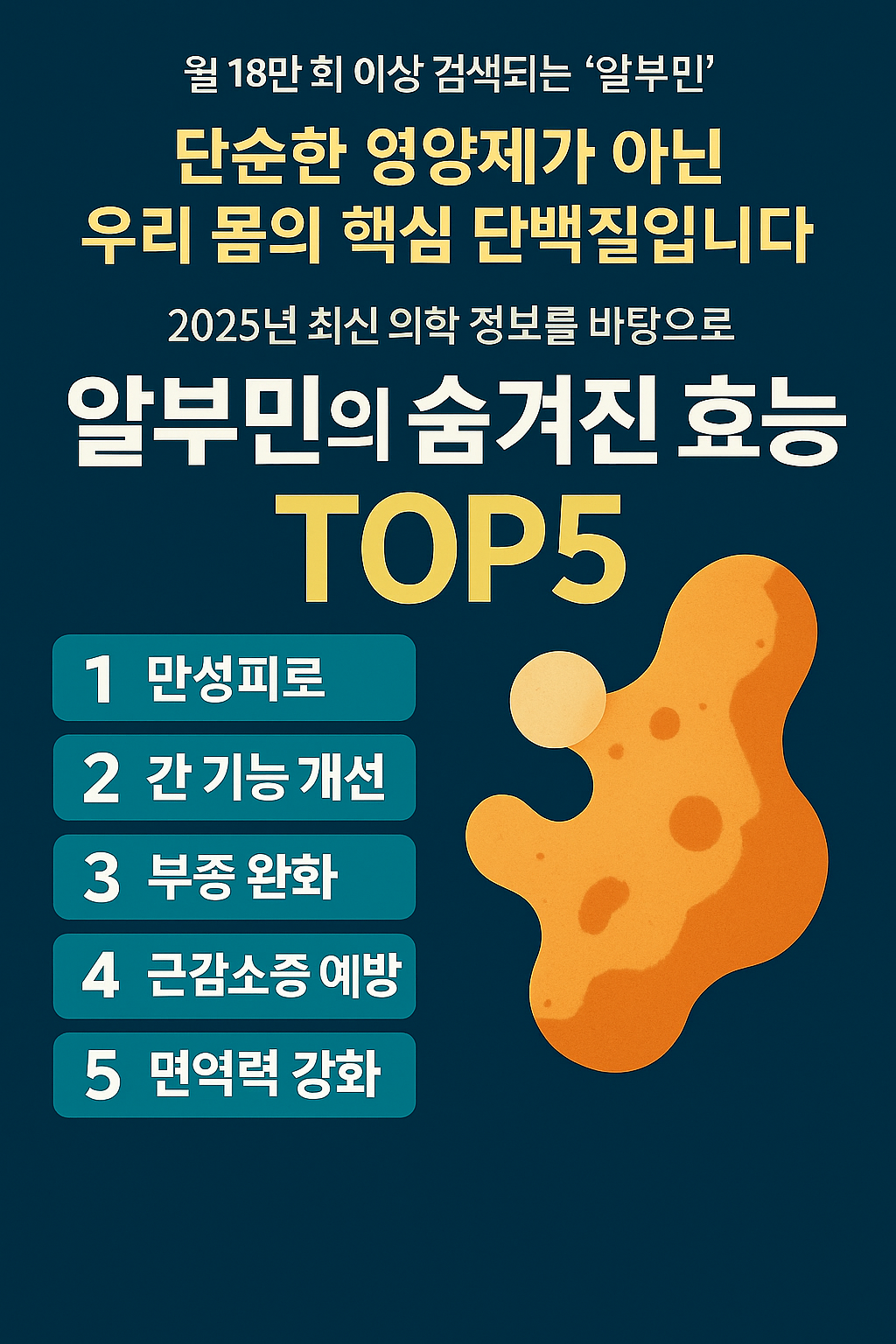 알부민의 숨겨진 효능 TOP5