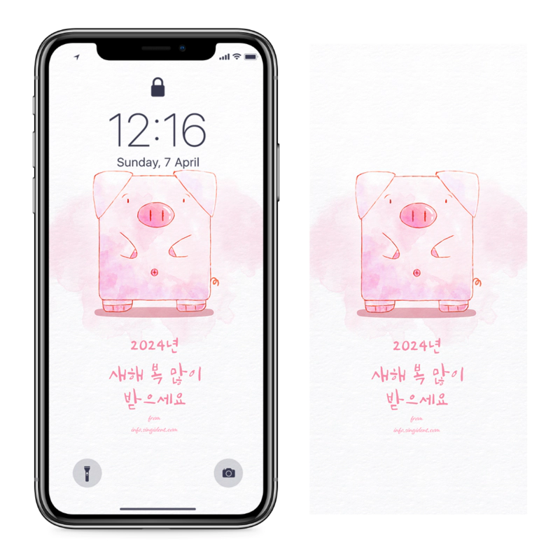 12 돼지 새해 복 많이 받으세요 C - Happy new year 아이폰귀여운배경화면