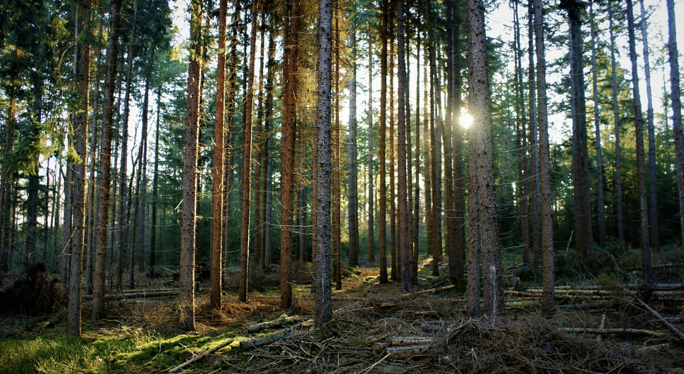 내일배움카드 신청자격과 배울 수 있는 것