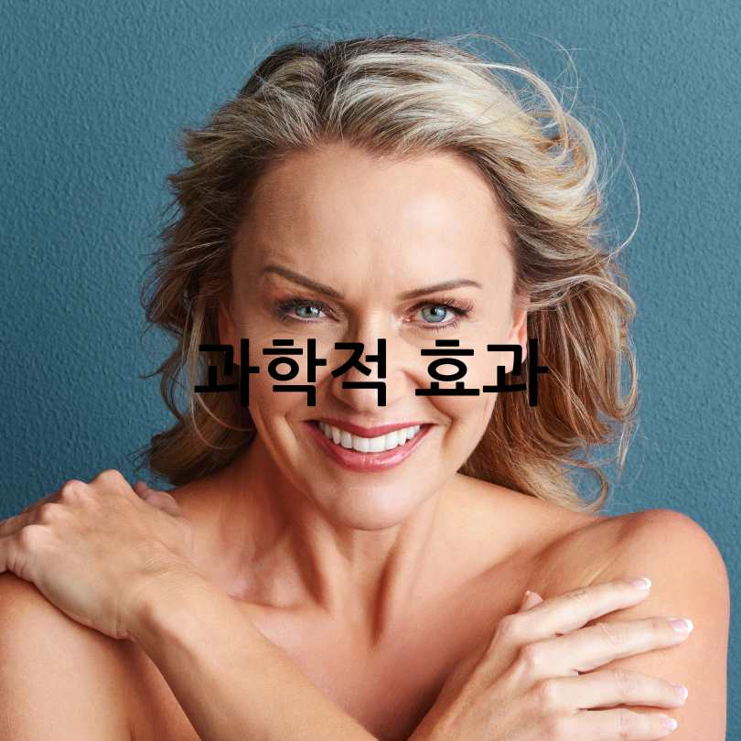 저속노화식단