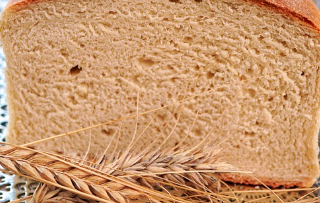 카뮤트 효소 효능