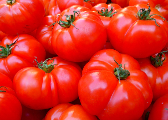 항암 효과-토마토