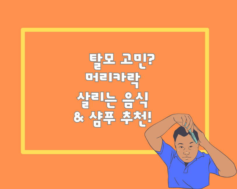 탈모 고민? 머리카락 살리는 음식 & 샴푸 추천!