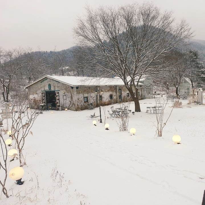 가평 청평 맛집 추천 생방송투데이 부채살 스테이크 화덕 통삼겹 바베큐 BBQ 화덕 피자 깔조네 파스타 브런치 오늘방송 떴다 동네방네