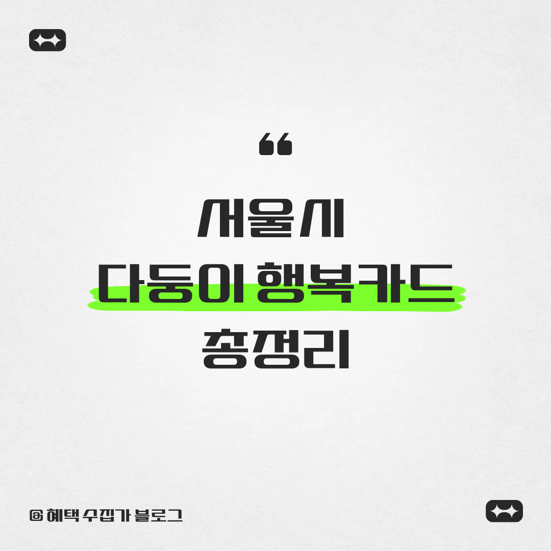 서울시 다둥이 행복카드