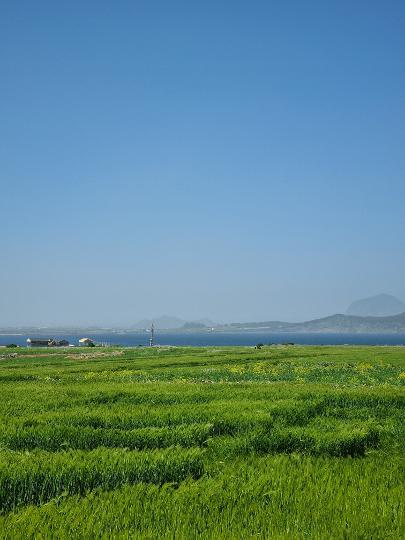 가파도 청보리축제 지도