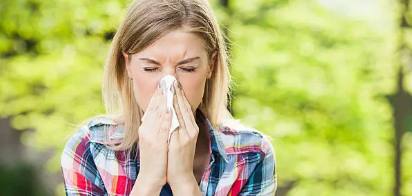 봄 알레르기 이미지사진