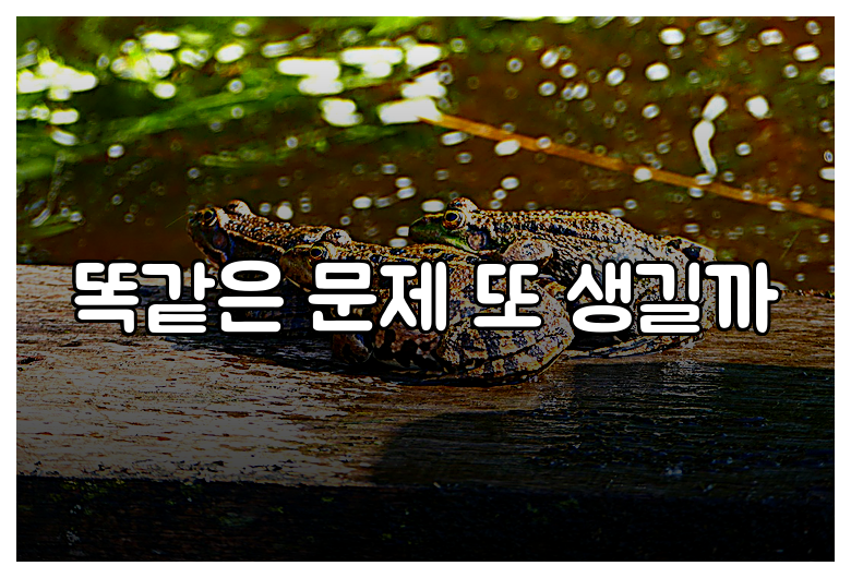 똑같은 문제 또 생길까