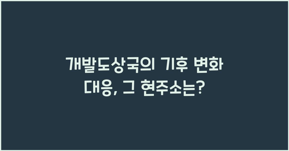 개발도상국의 기후 변화 대응  