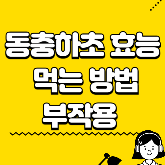 동충하초 효능 먹는 방법 부작용