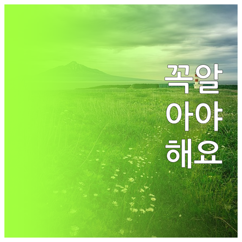 하루를 바꾸는 기적의 아침 루틴 숙면..