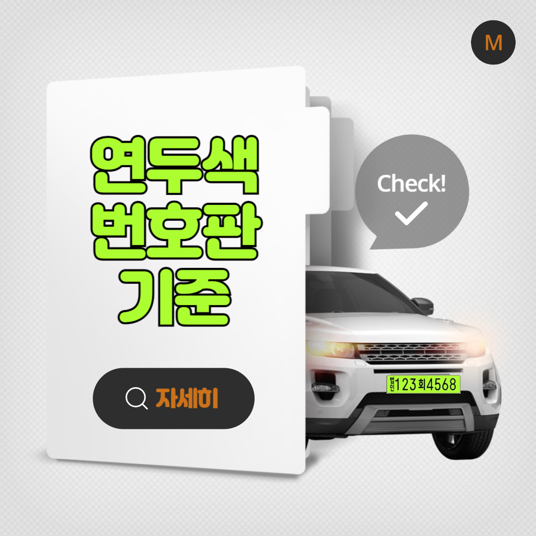 자동차 연두색 번호판 기준