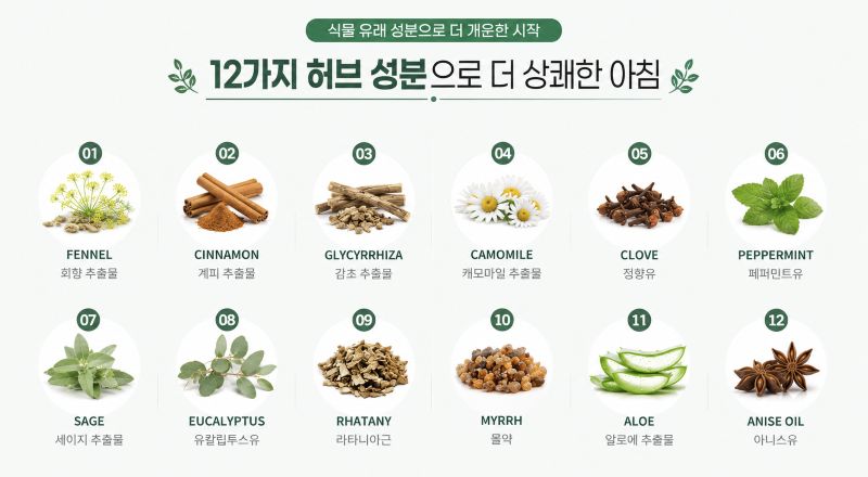 덴티스테에 함유된 12가지 허브 성분 이미지