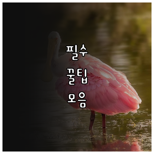 2025 광명시 임산부라면 놓치지 말..