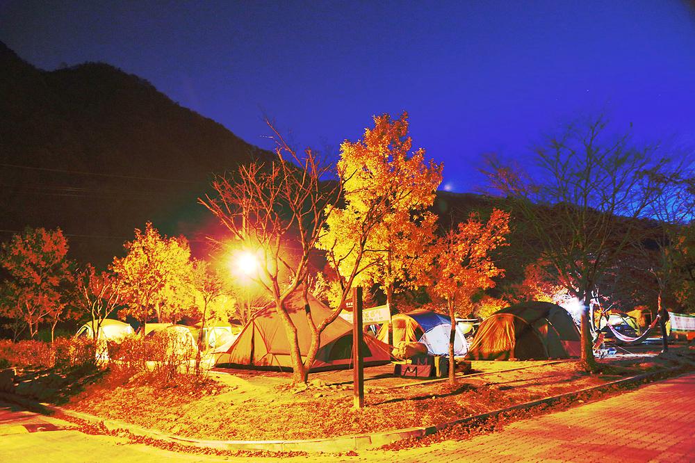 지리산 달궁자동차야영장

전북 남원시 산내면 덕동리 274