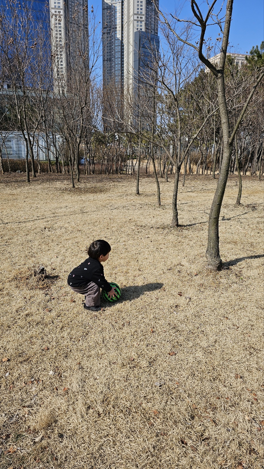 ※ 송도센트럴파크