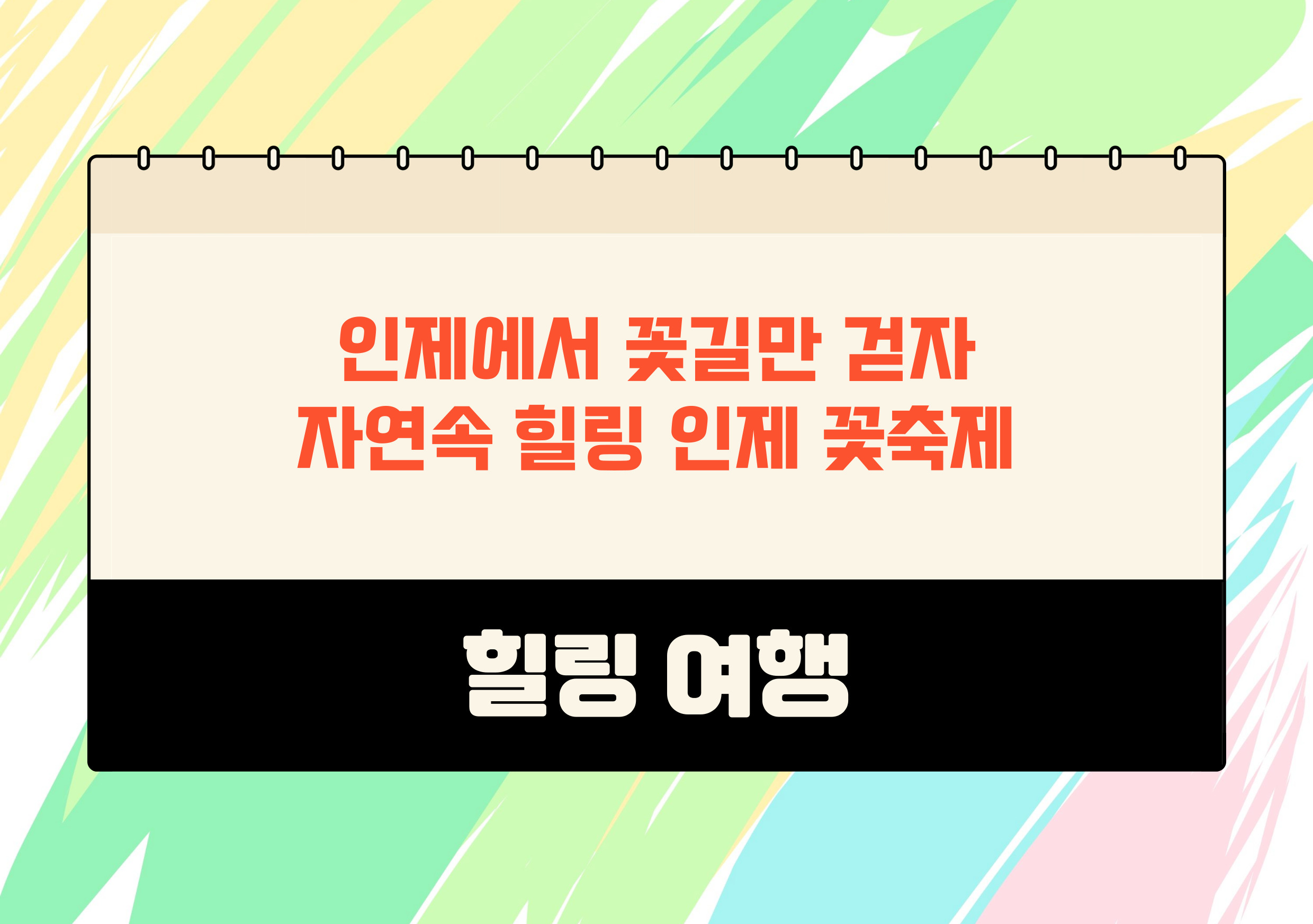 2024 강원도 인제 가을꽃 축제