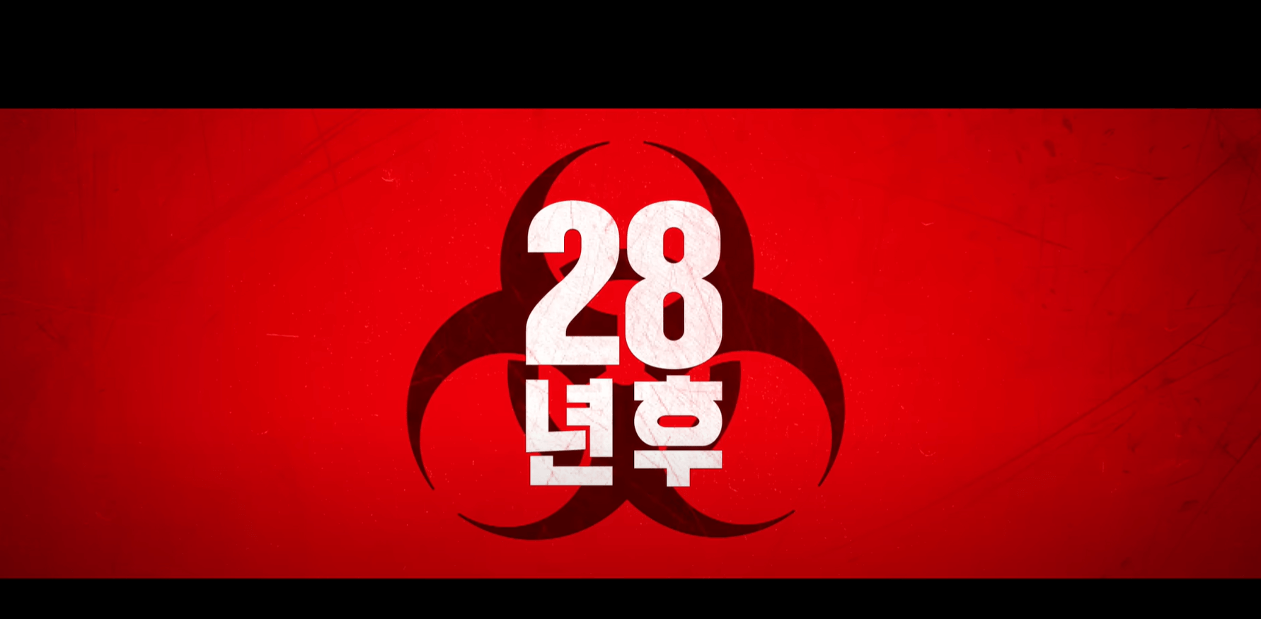 28년후
