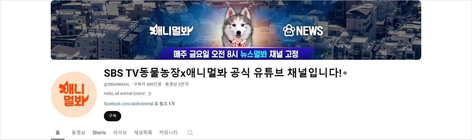 애니멀봐 유튜브 채널