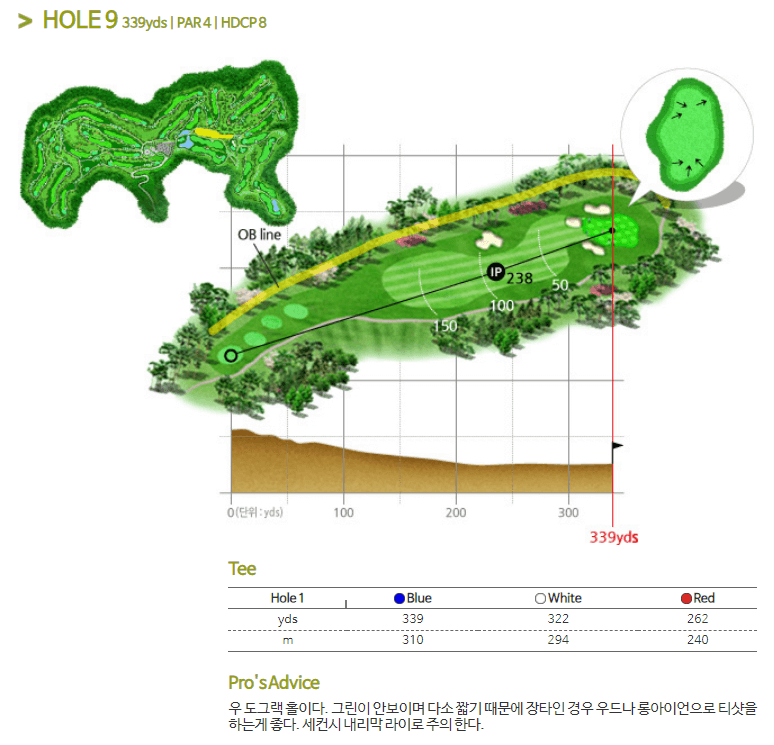 안성베네스트 골프클럽 동코스 9