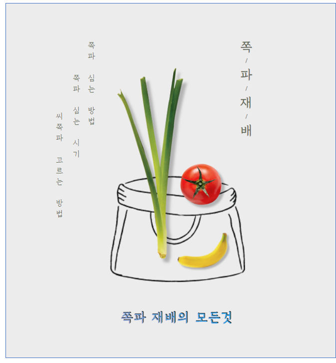 쪽파