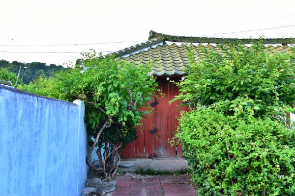 6월의 등나무 시골집 대문