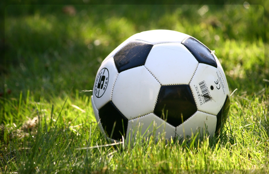 대한민국 축구 티켓