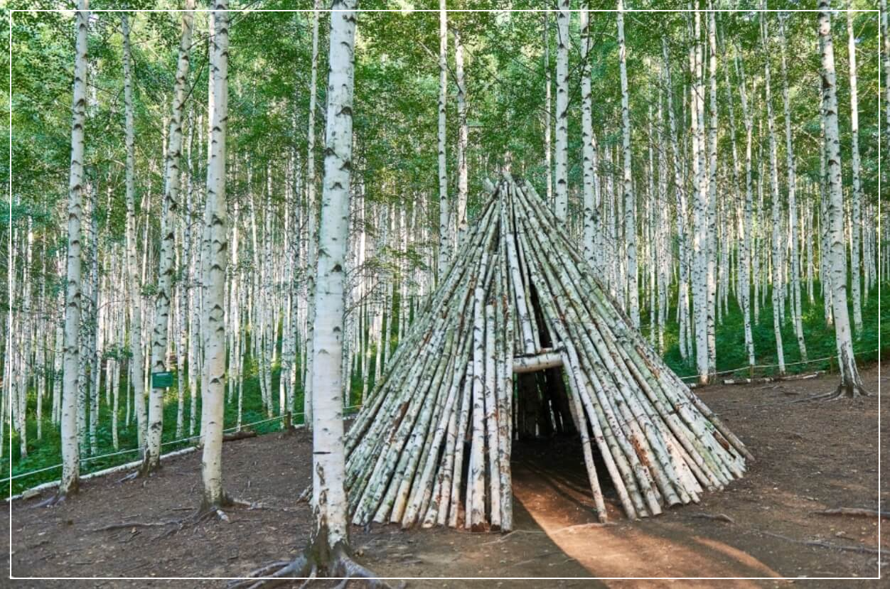 인제 가볼만한곳 베스트10 원대리 자작나무숲