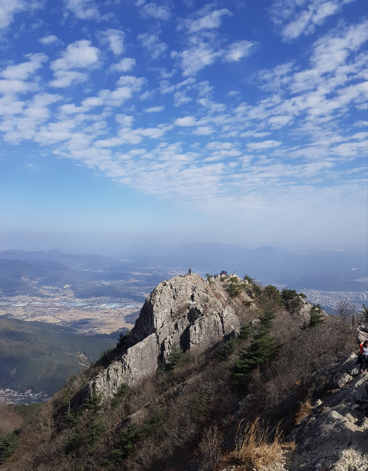 영남알프스의 봄, 신불산 야생화 등산코스 총정리 🌸