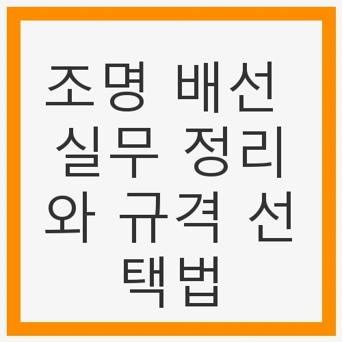 조명이란?