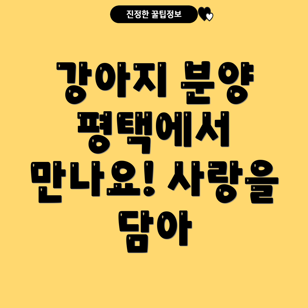 평택 강아지 분양