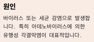 각멱염 전염성 비전염성 구분법 - 전염성 각막염 원인