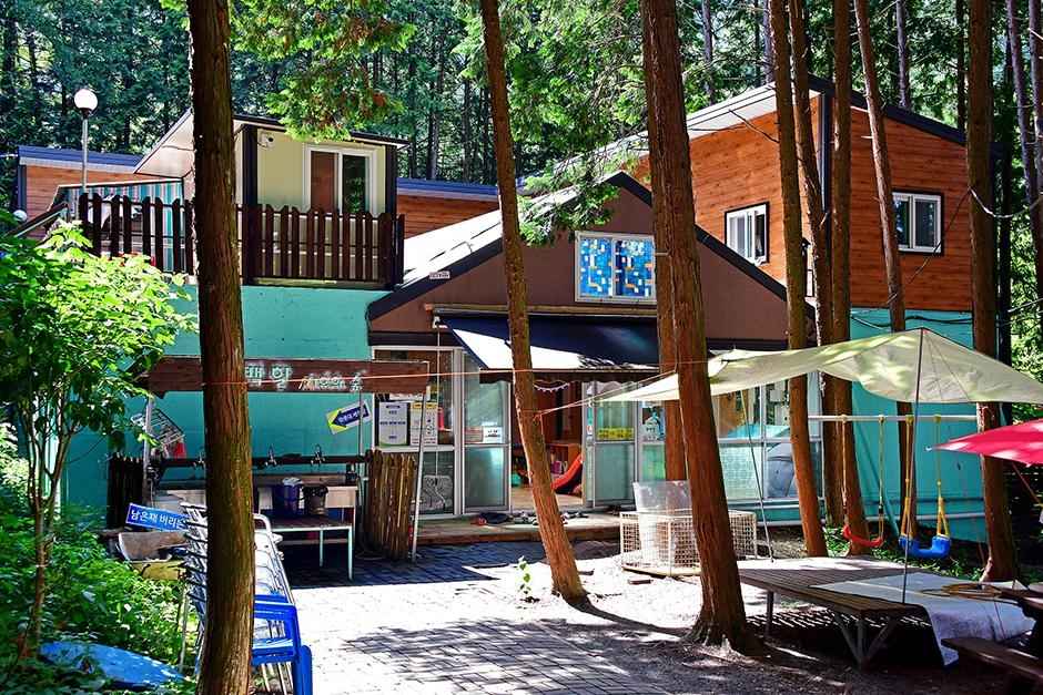 편백힐 치유의숲 캠핑장