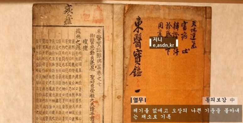 열무 효능 9가지와 부작용 총정리