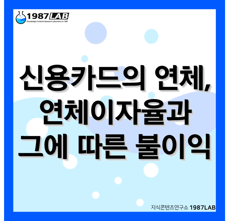 신용카드의 연체&#44; 연체이자율과 그에 따른 불이익