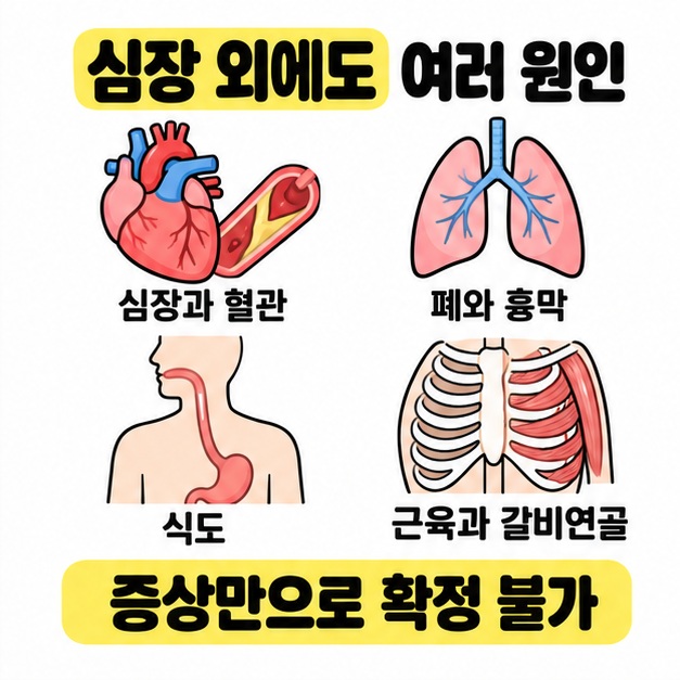 심장과 혈관, 폐와 흉막, 식도, 근육과 갈비연골의 그림을 비교하고 증상만으로 확정할 수 없음을 안내한다.