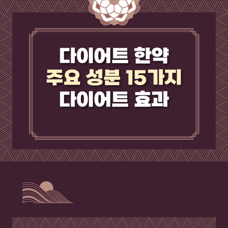 다이어트 한약 성분, 재료 15가지 한방 다이어트 효과