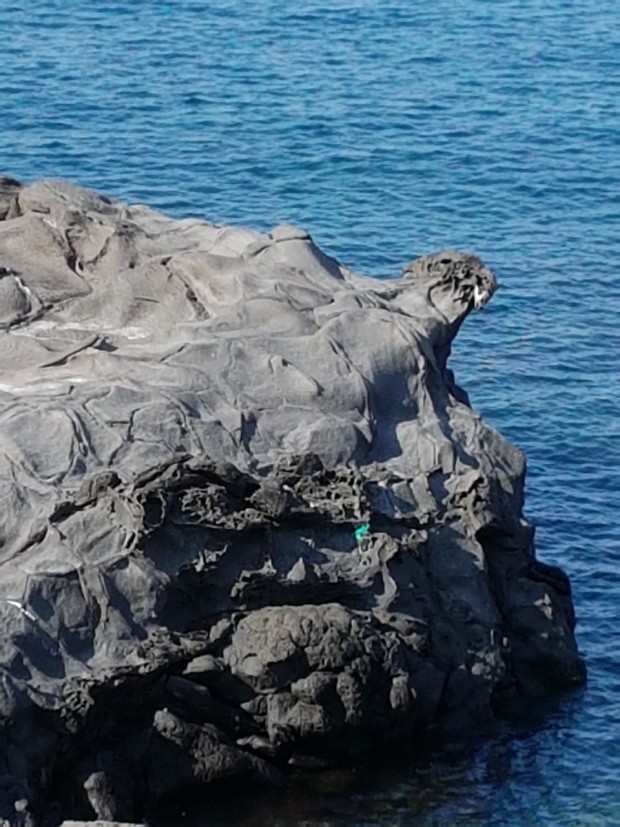 구룡리 사자바위 사진