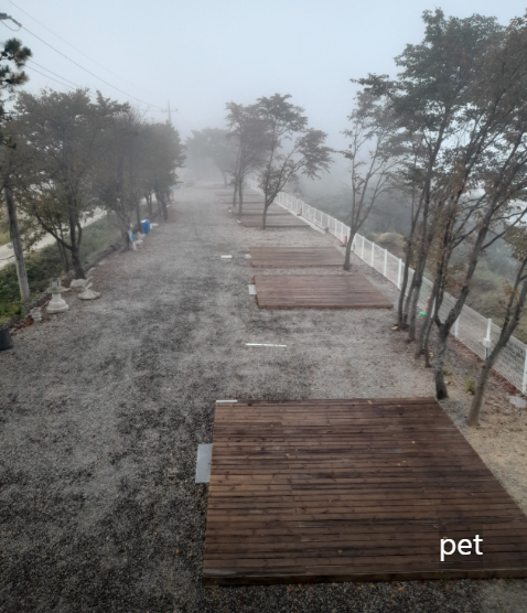 경기-파주-강나루야영-예약-방법-애견-동반-가격-주소-시간-후기