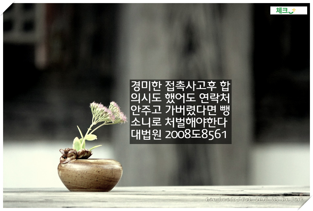 경미한 접촉사고후 합의시도 했어도 연락처 안주고 가버렸다면 뺑소니로 처벌해야한다